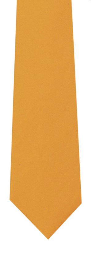 cravatta albicoccaresaiz 1 21 Settembre 2023