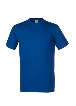 Stock di maglie in Bluette o Azzurro Royal a Manica Corta T-Shirts in Cotone 150g