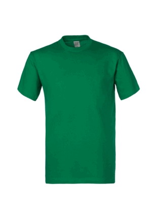 Stock di maglie Verdi a Manica Corta T-Shirts in Cotone 150g